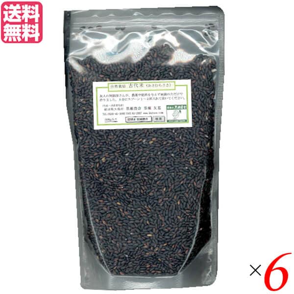 黒米 古代米 あさむらさき ライスロッヂ大潟 古代米（あさむらさき） 500g ６個セット