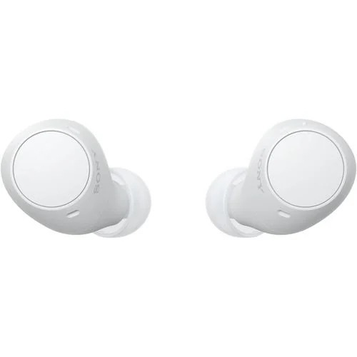 ソニー ワイヤレス イヤホン 左右分離 IPX4 最大22時間 USB-C WF-C510 WFC510 WZ ホワイト系