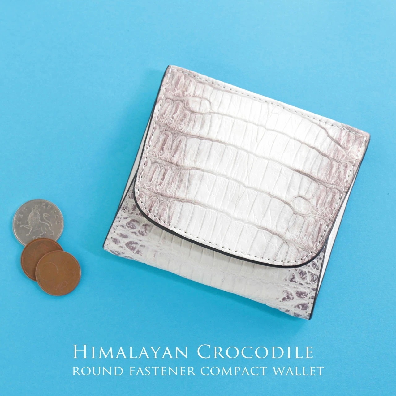 ヒマラヤ クロコダイル ミニ財布 メンズ BOX型 小銭入れ付き コンパクト ワニ クロコ 小さい 財布 紙幣入れ カード入れ サイフ さいふ コイン 男性 紳士 プレゼント ギフト 小さい財布 お酒