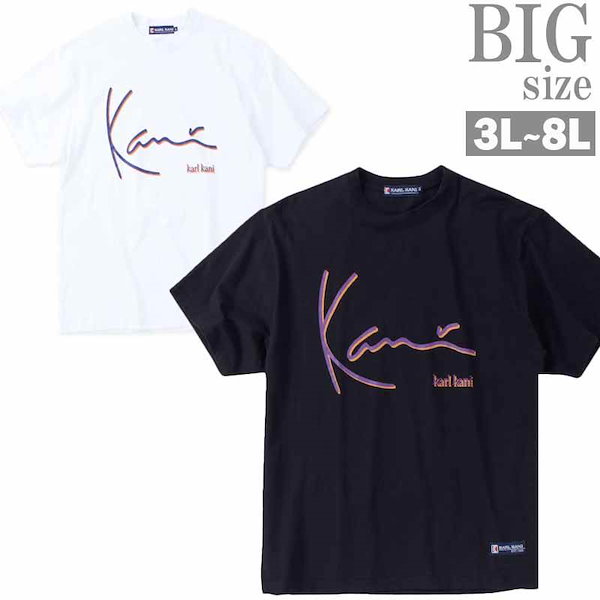 Karl Kani★ ロゴ ピンストライプ Tシャツ Karl Kani カールカナイ 服 Tシャツ 3DネオンUSロゴTII ブラック