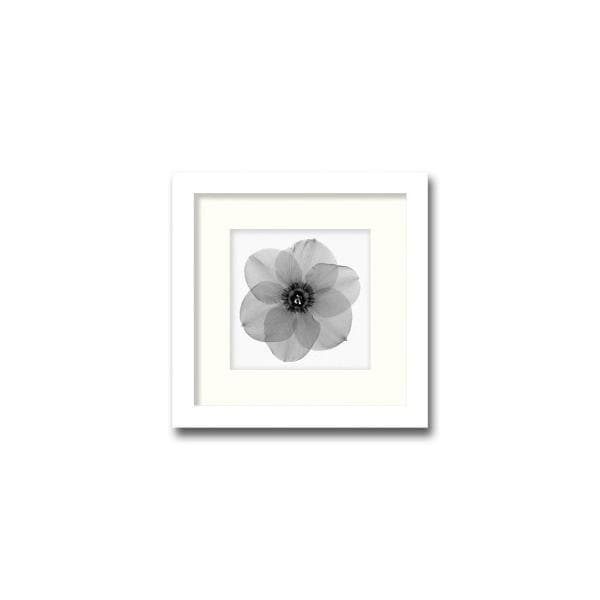 ファブリックパネル アートフレーム 飾り 花 優雅 きれい 壁掛け ウォールデコレーション 幻想的 植物 レントゲン 近代アート 350x350mm