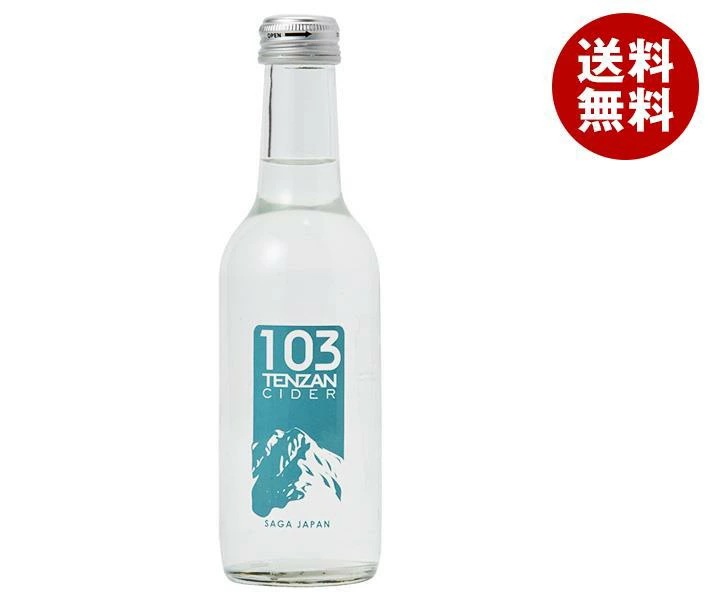 友桝飲料 103(テンザン)サイダー 250ml瓶×24本入×(2ケース)