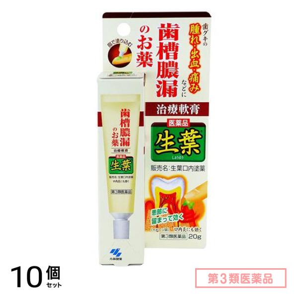 第３類医薬品 生葉口内塗薬 20g 10個セット 7,697円