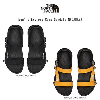 Bucephalandra sp. 茜雲 TZ便　初ネームド　あかねぐも Bucephalandra sp. 茜雲 TZ便 初ネームド あかねぐも - メルカリ