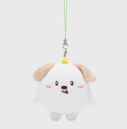 2024 RIIZE ファンコーン RIIZING DAY FINALE MD [ミニドールキーリング] アントンVER.