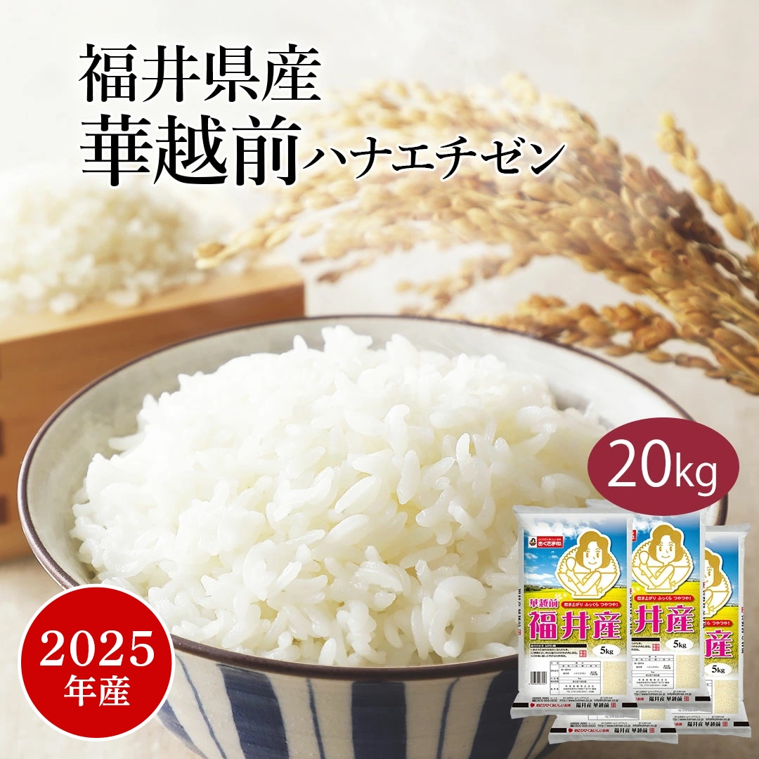 米 精米 福井県産 華越前 ハナエチゼン 20kg 5kg 4セット 令和7年産 お米 こめ 20キロ 安い おこめ 白米 国産 食品 ギフト 引っ越し 内祝い お歳暮 おくさま印