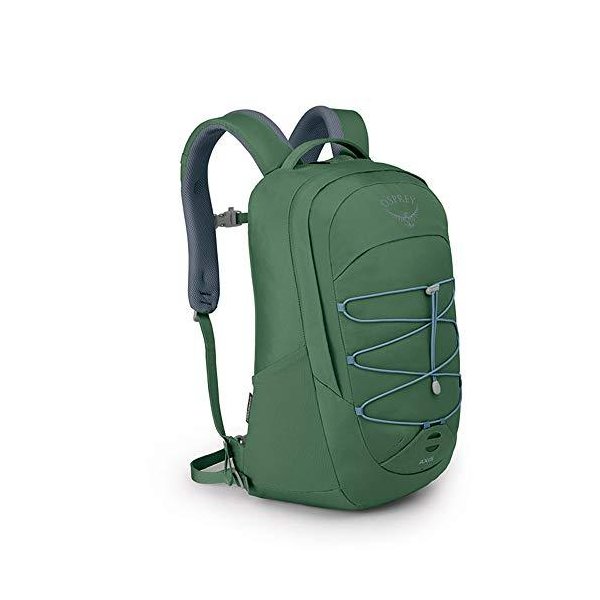 Osprey Axis Laptop Backpack， Tortuga Green， One Size 並行輸入品