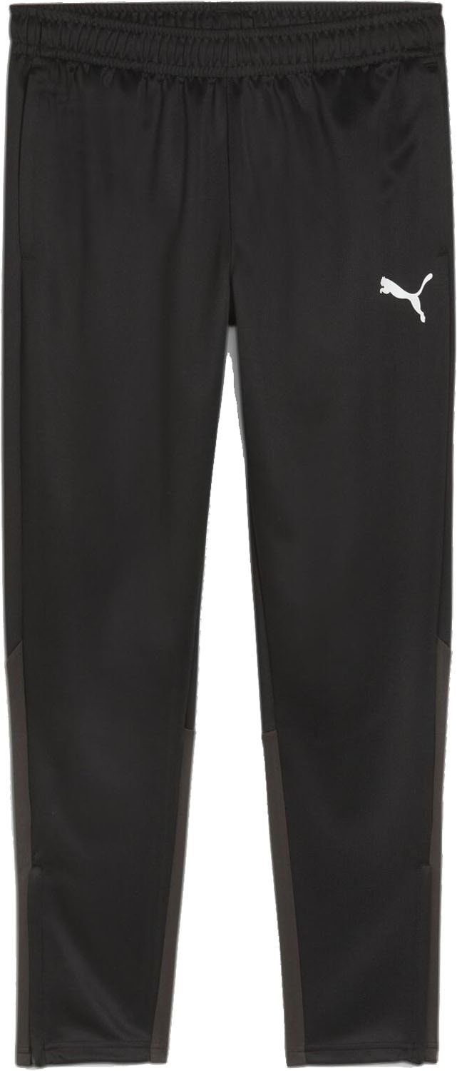 PUMA(プーマ) 659401 TEAMGOAL マルチ パンツ チームゴール teamGOAL マルチ パンツ メンズ ボトムス ジャージ トレーニング ジム トレーニングウェア ロングパンツ 普