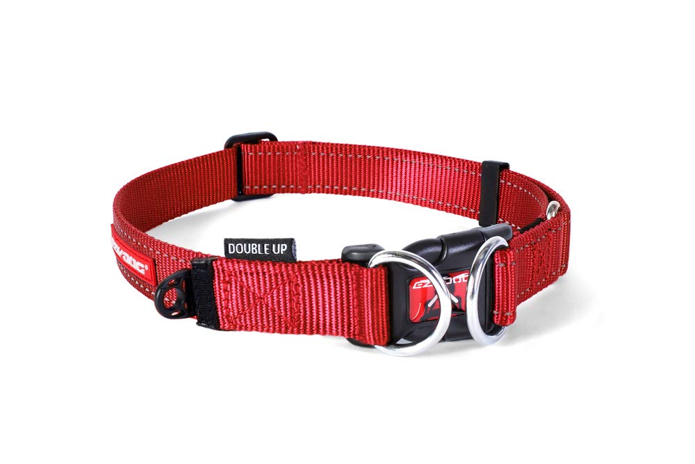 EZYDOG(イージードッグ) 首輪 正規代理店品 ダブルロックカラー レッド 大型犬用 XL サイズ