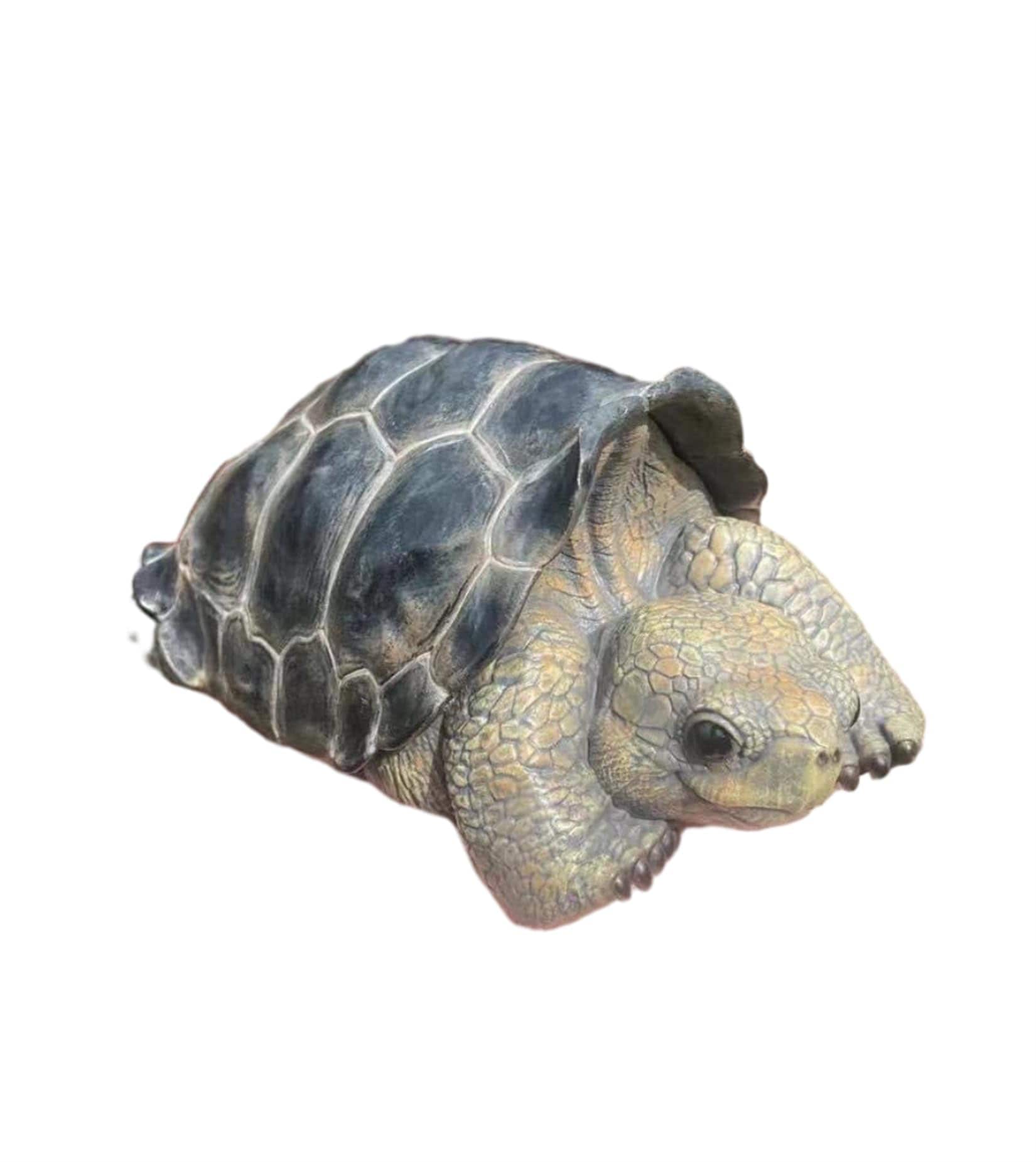 博物志 ガラパゴスゾウガメ 限定版 15CM級 樹脂 ロンサム・ジョージ フィギュア ゾウガメ リアル プラモデル おもちゃ 模型 置物