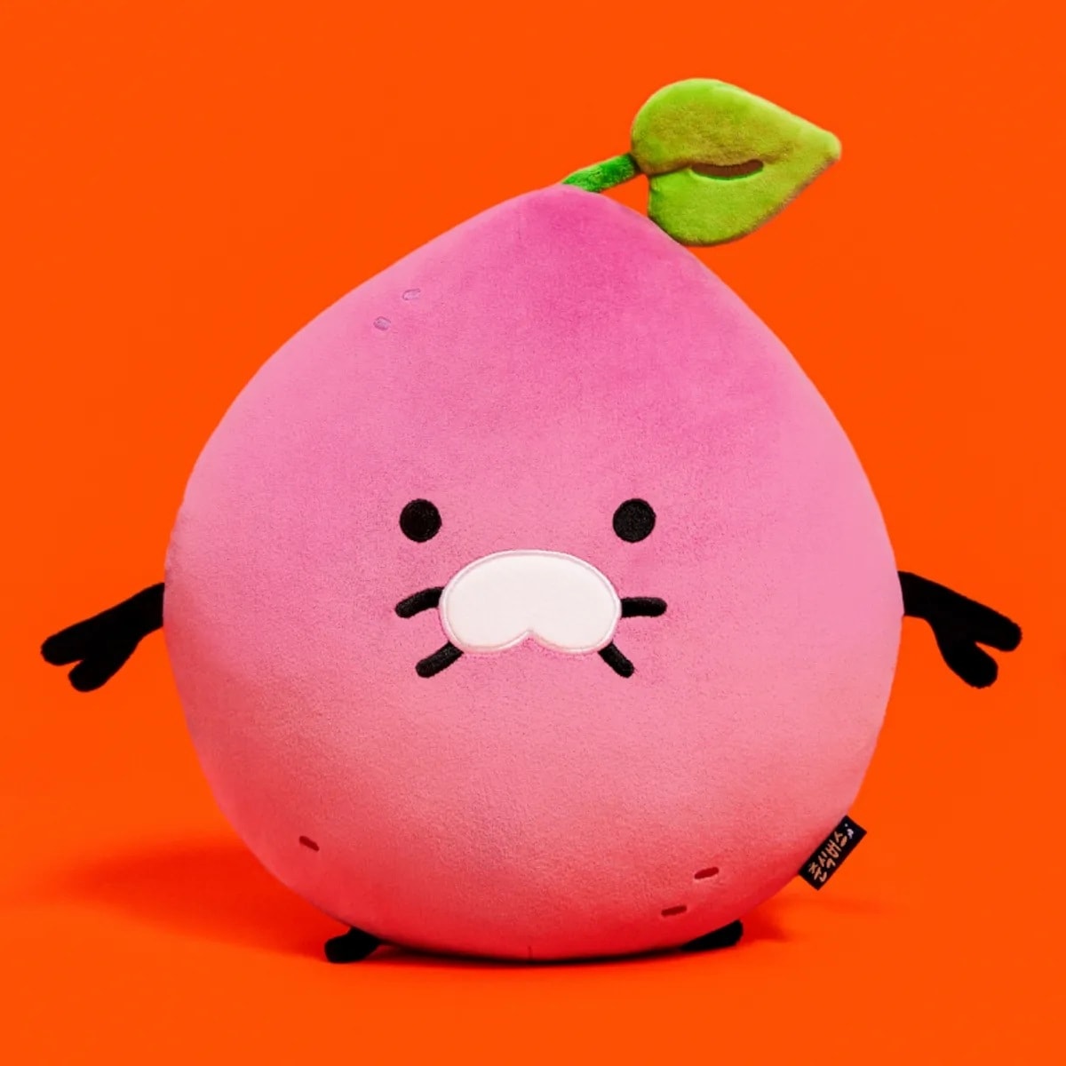 Qoo10] カカオフレンズ チュンシクバス 顔クッション チュングマ : KPOP