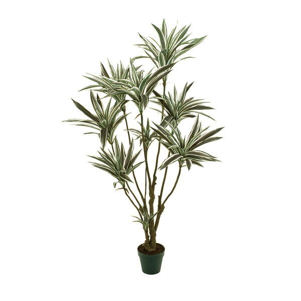 ドラセナ MAGIQ 観葉植物 造花 メーカー直送