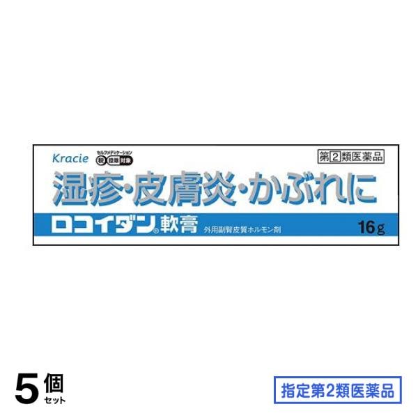 指定第２類医薬品 ロコイダン軟膏 16g 5個セット