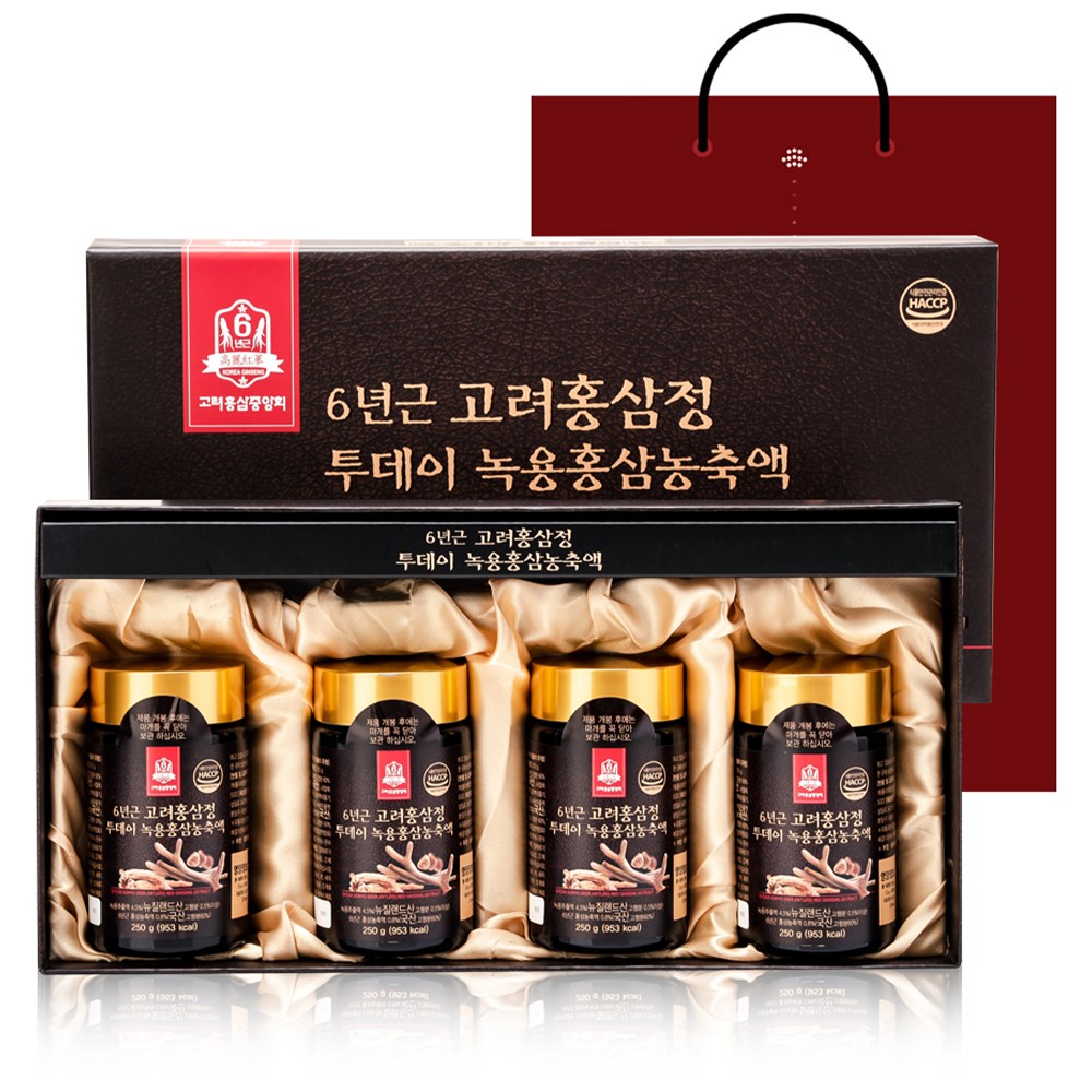 高麗紅参中央会6年根高麗紅参ジョントゥデー