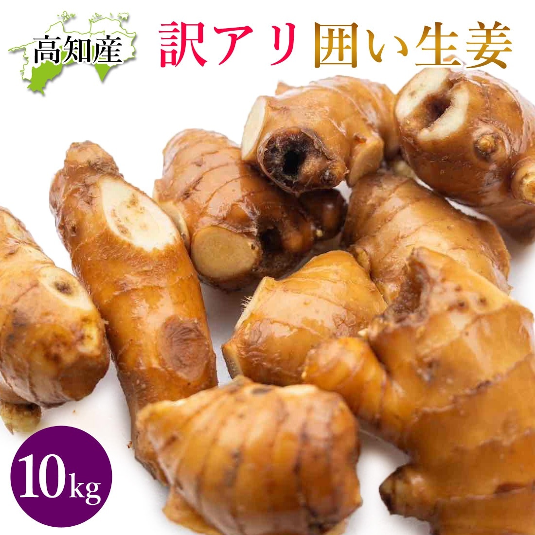 【山北産直】 生姜 訳あり 10kg 高知県産 国産 しょうが 農家直送 高知産 ショウガ 10キロ B品 高知生姜 自宅用 業務用 ヤマト発送