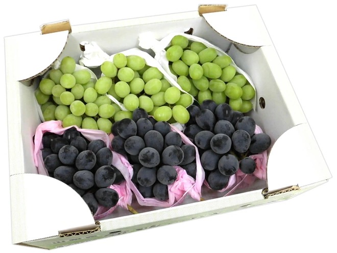 =シャインマスカット＆ナガノパープル= 秀品 合計約3kg 産地厳選 食べ比べ　予約 9月以降