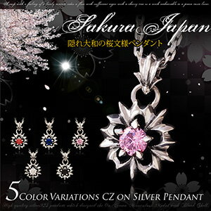 メール便なら送料無料！ pe2012 シルバーアクセサリー ペンダント メンズ ペンダントトップのみ