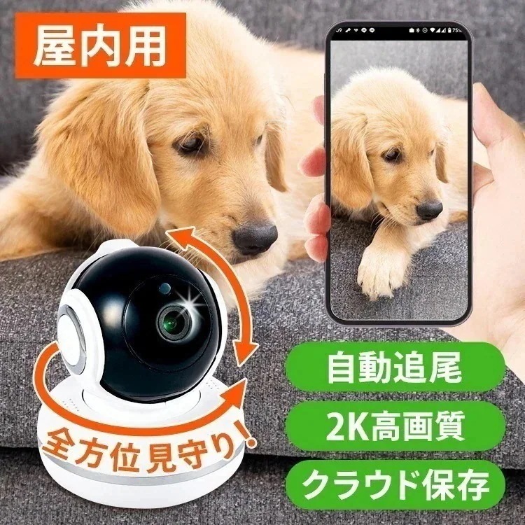 防犯カメラ 屋内 見守りカメラ ペットカメラ クラウド防犯カメラ 屋内型 NH-FW3M-F1 (D)　メガ割