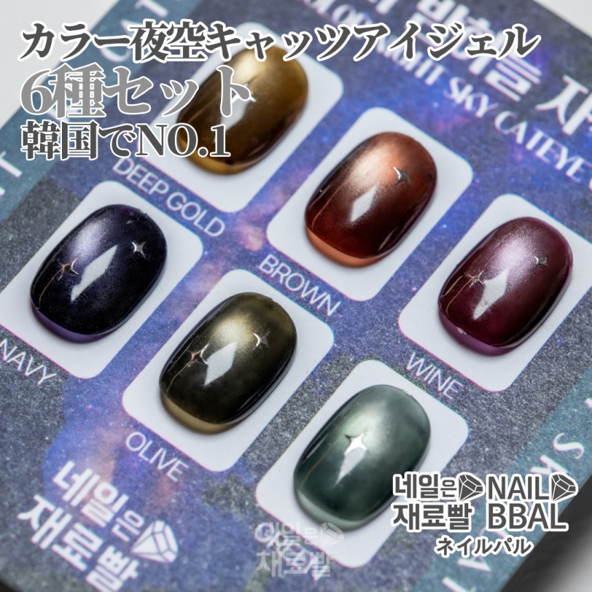 【ネイルパル正規品】カラー夜空キャッツアイジェル[6色セット]韓国ネイル 컬러밤하늘자석젤6종세트