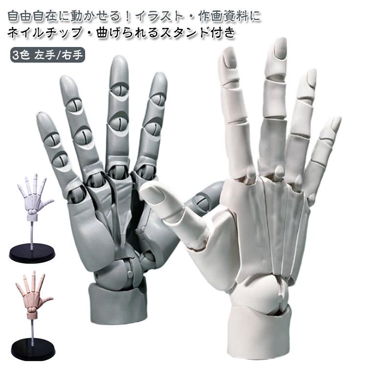 L スキンカラー ハンドモデル 左手 R バイオニック指関節 可動式 右手 アニメ デッサン用素体美術 フィ 1