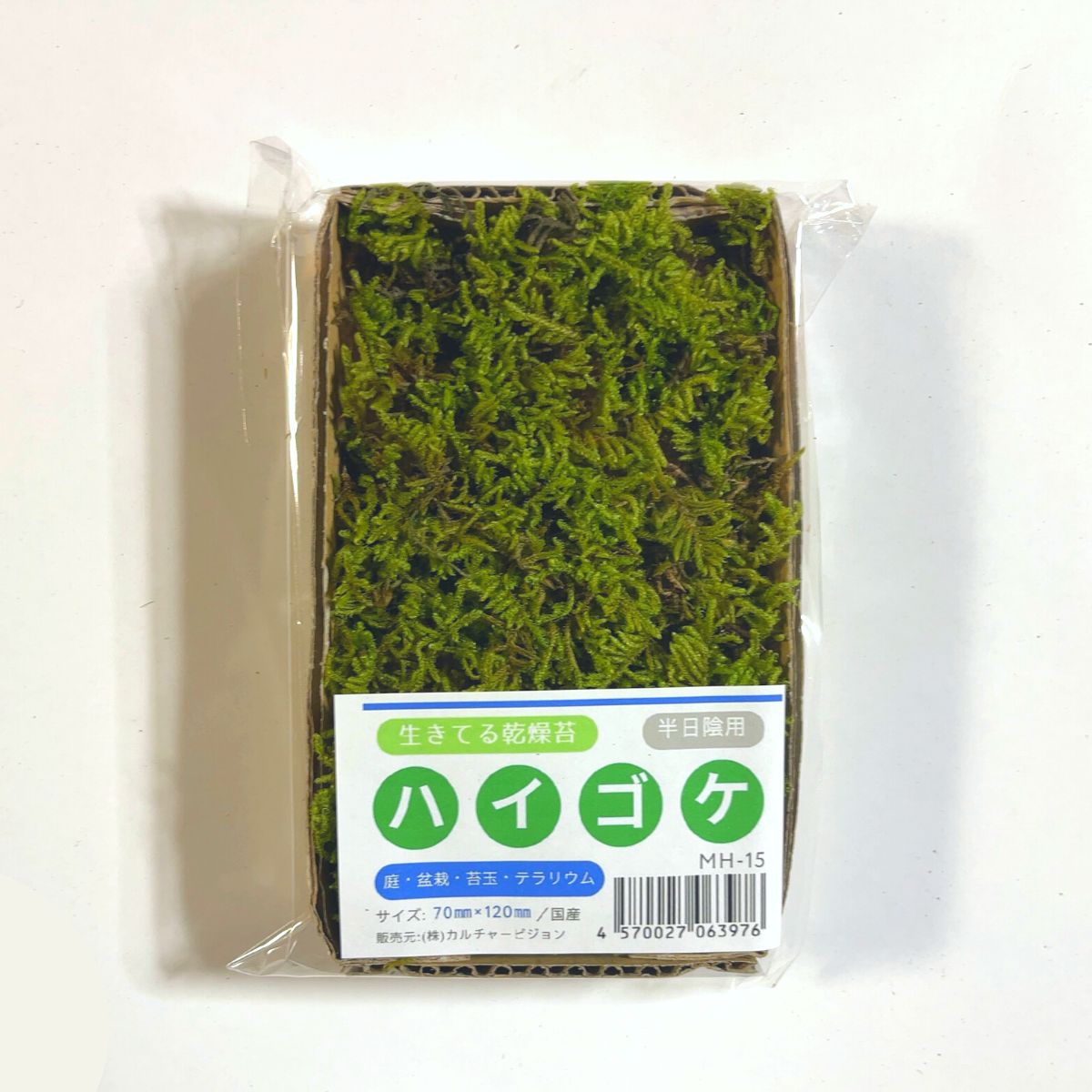 ハイゴケ 70×120mm【6個セット】苔玉 庭園 造園 盆栽 苔 ジオラマ テラリウム コケリウム 壁面 屋上緑化 インテリア グリーン モスパネル モスウォール 花材 日本製