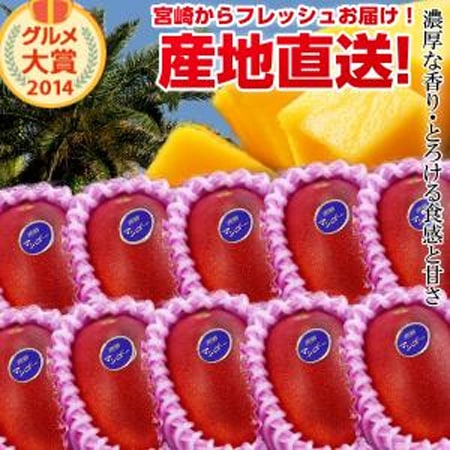 宮崎完熟マンゴー大玉10玉入り 宮崎からお届けする南国の香り・とろける美味しさ がいっぱいの完熟マンゴー お中元 青果物 フルーツギフト 父の日