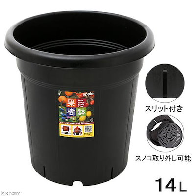 他サイト： プランター　果樹鉢　３１０型　ブラック　お一人様３点限り　ＣＲＣ90―03―05―20―00の商品画像