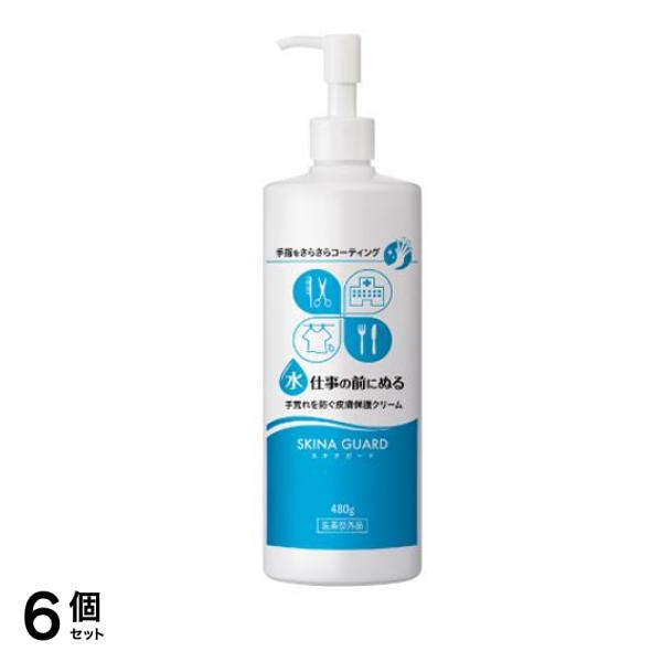 スキナガード 480g 6個セット