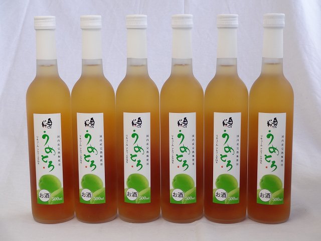 完熟梅の味わいと日本酒のうまみをたっぷりの梅リキュール　うめとろ　500ml6本