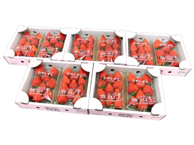 熊本県 =ひのしずくいちご= 秀品 2パック入り（1パック 7-13粒約300g）x5箱 予約 1月以降