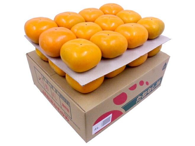 和歌山産 =たねなし柿= 秀品 3L-4Lサイズ 24-28玉 約7.5kg 予約 10月以降 5,382円