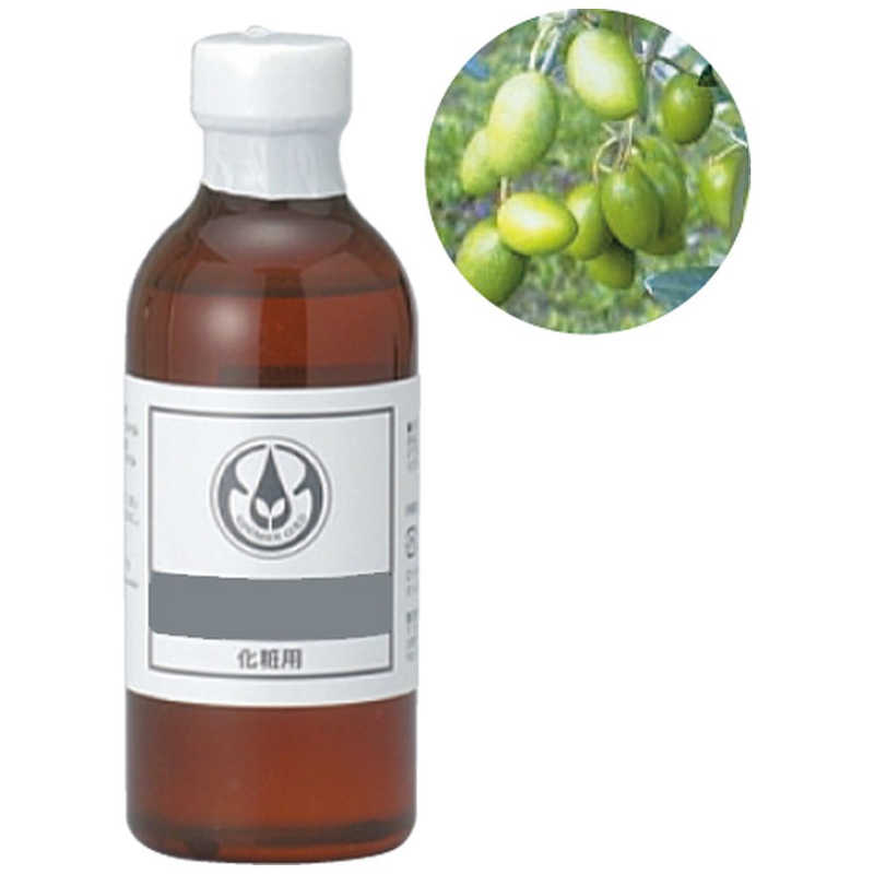 生活の木　オリーブスクワラン 250mL　12-401-4300