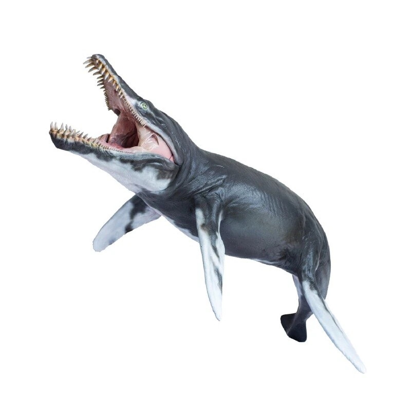 PNSO 1/35 サイズ クロノサウルス 海洋博物館 海生爬虫類 恐竜 リアル フィギュア PVC モデル 模型 おもちゃ プレゼント プレミアム 29.5cm級 オリジナル 塗装済 完成品