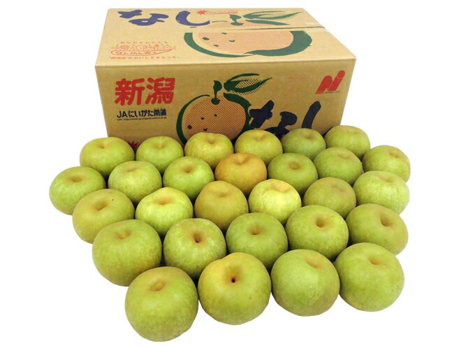 =幸水梨= 訳あり 約10kg 大きさおまかせ 産地厳選 予約 8月以降