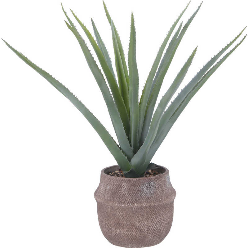 不二貿易　フェイクグリーン アロエ M セメントポット　41136