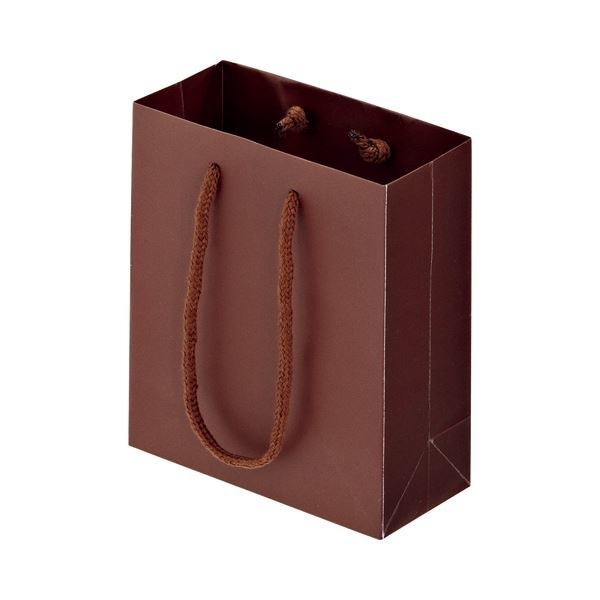 （まとめ） TANOSEE マットコート手提げ袋 ミニ ヨコ150タテ170マチ幅70mm ブラウン 1パック（10枚） 5セット