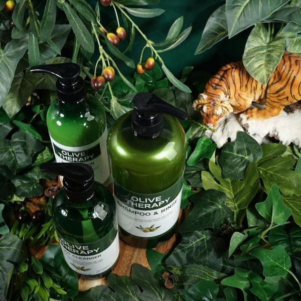 XBHHJM84オリーブの香り 稠密な泡 ヘアシャンプー1 ボディウォッシュ1