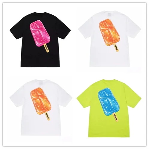 STUSSY（ステューシー） カットソー 半袖 STUSSY メンズSTUSSY POPSICLE TEE Tシャツ 1904871
