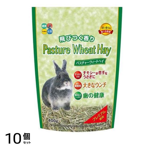 ハイペット 食べる牧草 パスチャーウィートヘイ 400g 10個セット