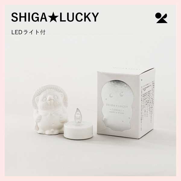（3個セット）SHIGALUCKY （LEDライト付） 信楽たぬき 日本製 信楽焼 陶器製　lucky-02