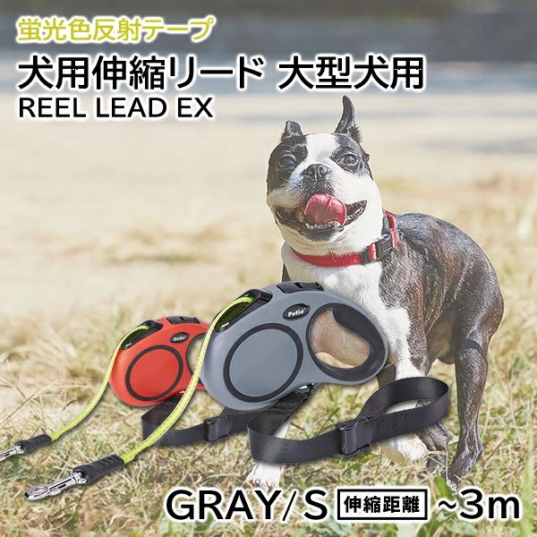 大型犬 リード pettio 人気