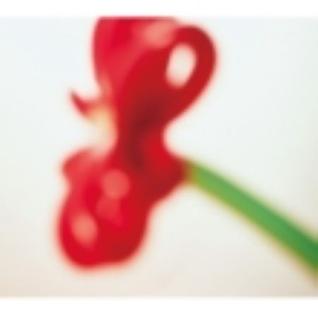 早期予約.タワーレコード特典付き マカロニえんぴつ ハッピーエンドへの期待は 初回盤A 新品未開封