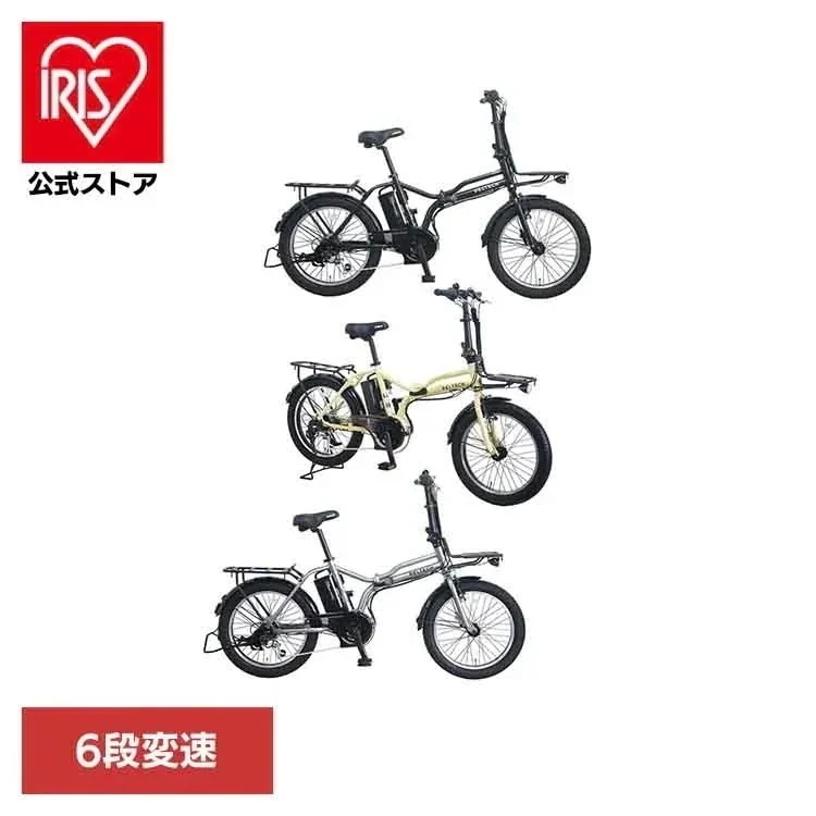 【人気商品】電動アシスト自転車 20型折り畳み外装6段変速ハイパワーモデル 36V8.5AH 【簡易組立必要品】＊販売証明書付き TDN-246L-MBK ＰＥＬＴＥＣＨ (代引不可)(TD)