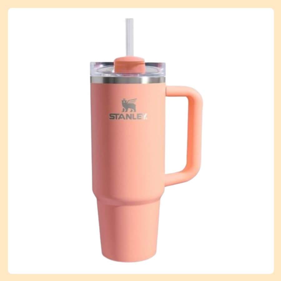 【正規品】クエンチャー H2.0 フローステート タンブラー 887ml (メロン)