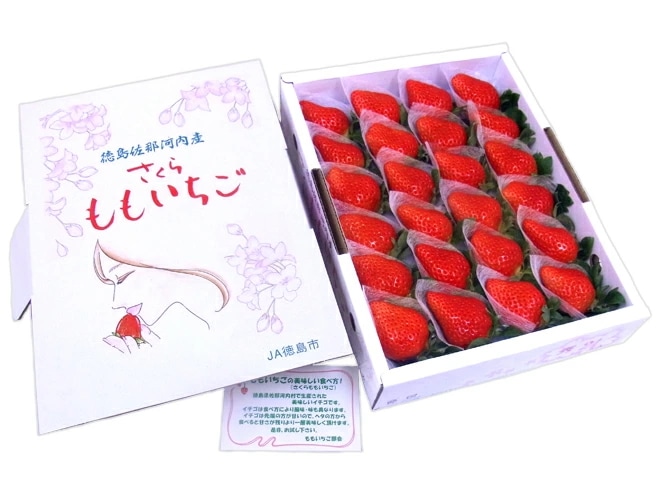 お届け日指定可能 徳島県 =佐那河内産 さくらももいちご= 大粒24粒 化粧箱
