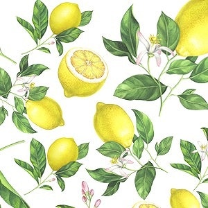 ポーセラーツ 転写紙 フルーツ JUICY yellow LEMON 往復送料無料 日本初の ジューシーレモン