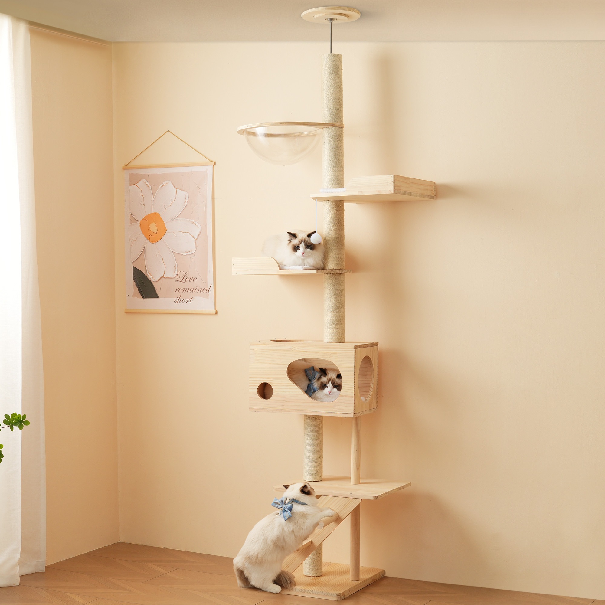 キャットタワー 猫タワー キャットツリー スリム 突っ張り 高さ260cm 木登りタワー ネコタワー