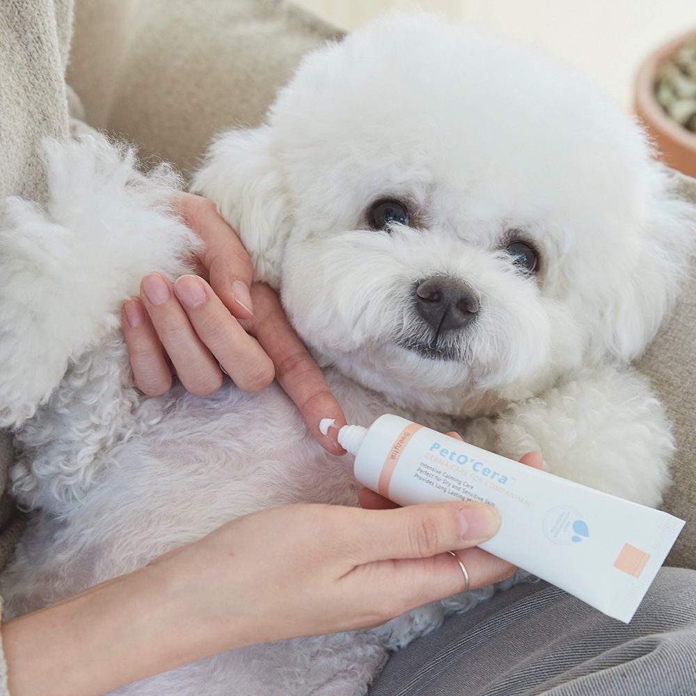 ブリッジテールペトセラペット動物軟膏