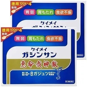 【第2類医薬品】 恵命我神散 400g 2個セット