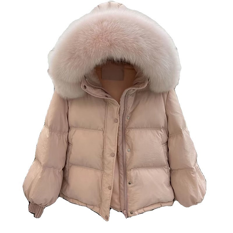 冬に流行するダウンコットンの服 高級感のある素敵すぎるダウンジャケット